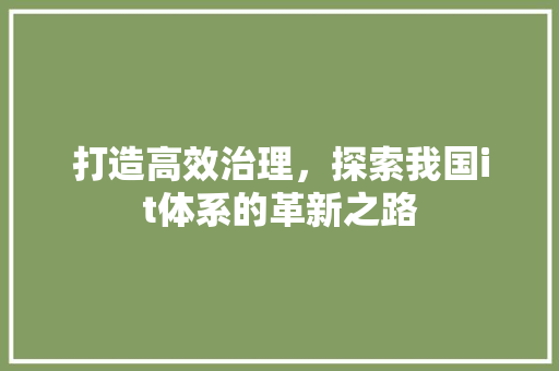 打造高效治理，探索我国it体系的革新之路