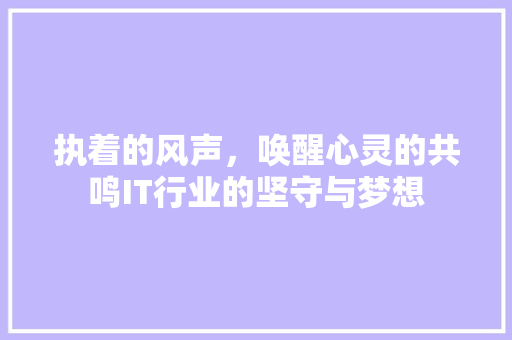 执着的风声，唤醒心灵的共鸣IT行业的坚守与梦想