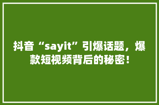 抖音“sayit”引爆话题，爆款短视频背后的秘密！