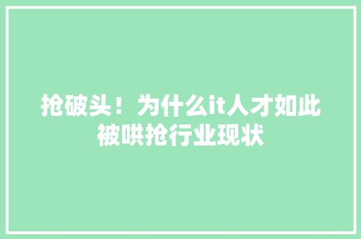 抢破头！为什么it人才如此被哄抢行业现状