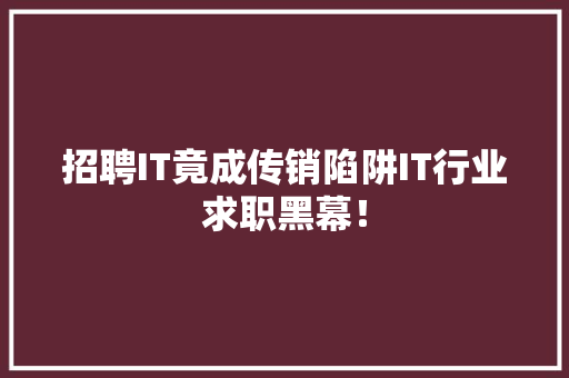 招聘IT竟成传销陷阱IT行业求职黑幕！ 网站建设公司