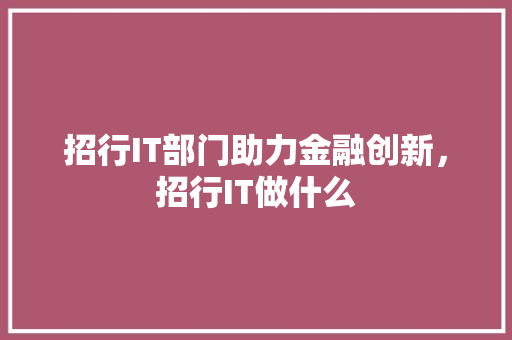 招行IT部门助力金融创新，招行IT做什么