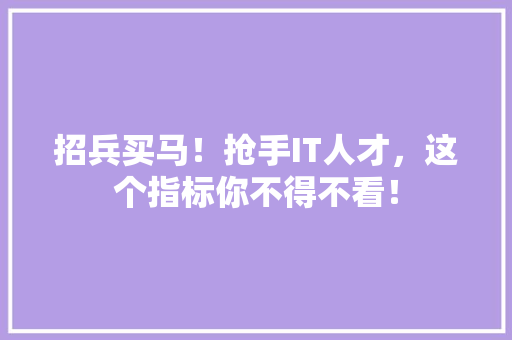 招兵买马！抢手IT人才，这个指标你不得不看！ 必应SEO