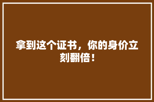 拿到这个证书，你的身价立刻翻倍！