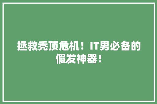 拯救秃顶危机！IT男必备的假发神器！ SEO关键词
