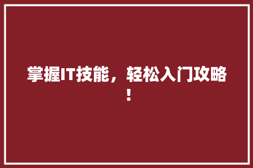 掌握IT技能，轻松入门攻略！