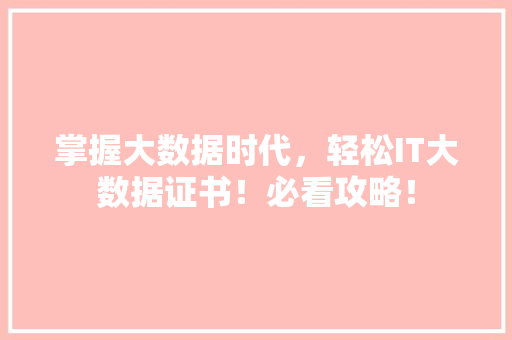 掌握大数据时代，轻松IT大数据证书！必看攻略！ 必应SEO