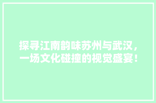 探寻江南韵味苏州与武汉，一场文化碰撞的视觉盛宴！