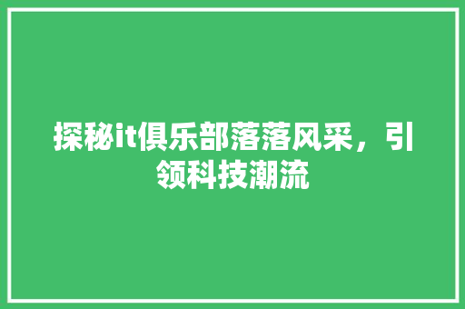 探秘it俱乐部落落风采，引领科技潮流