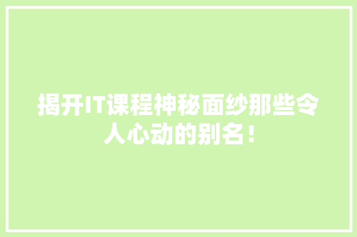 揭开IT课程神秘面纱那些令人心动的别名！ SEO关键词