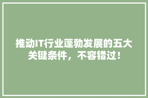 推动IT行业蓬勃发展的五大关键条件，不容错过！ SEO关键词