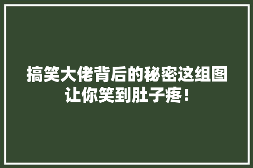 搞笑大佬背后的秘密这组图让你笑到肚子疼！ SEO关键词
