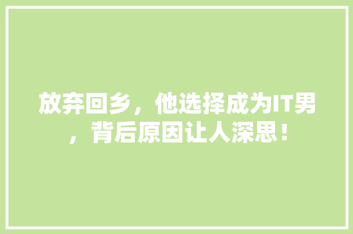 放弃回乡，他选择成为IT男，背后原因让人深思！