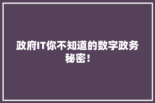 政府IT你不知道的数字政务秘密！