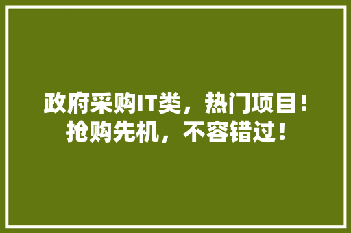 政府采购IT类，热门项目！抢购先机，不容错过！ 必应SEO
