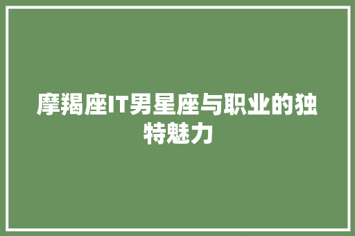 摩羯座IT男星座与职业的独特魅力