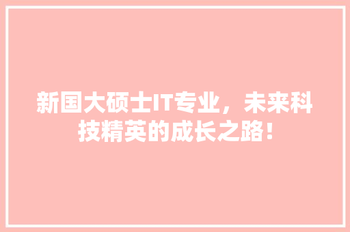 新国大硕士IT专业，未来科技精英的成长之路！