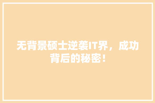 无背景硕士逆袭IT界，成功背后的秘密！