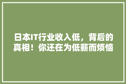 日本IT行业收入低，背后的真相！你还在为低薪而烦恼吗