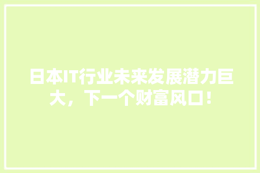 日本IT行业未来发展潜力巨大，下一个财富风口！
