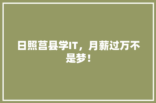 日照莒县学IT，月薪过万不是梦！