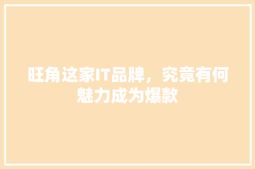 旺角这家IT品牌，究竟有何魅力成为爆款
