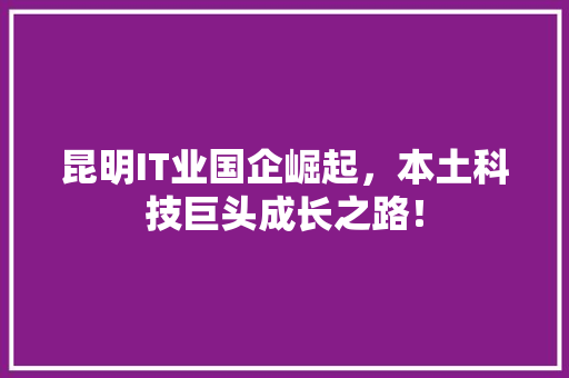 昆明IT业国企崛起，本土科技巨头成长之路！