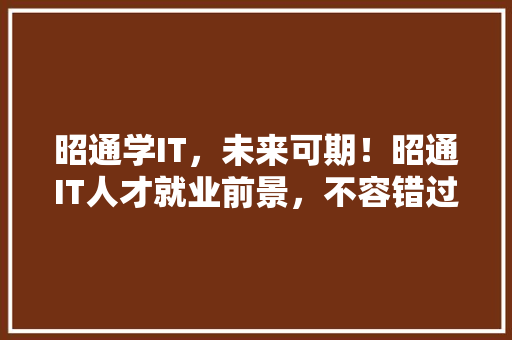 昭通学IT，未来可期！昭通IT人才就业前景，不容错过！