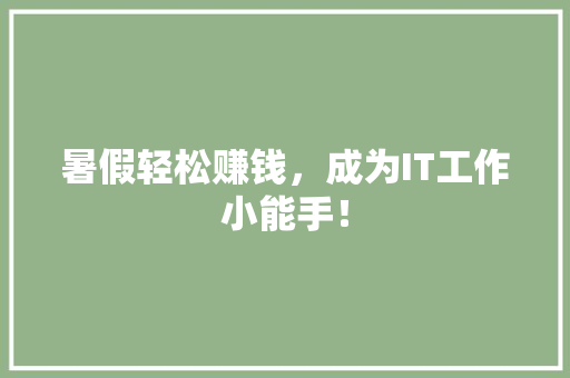 暑假轻松赚钱，成为IT工作小能手！