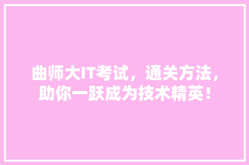 曲师大IT考试，通关方法，助你一跃成为技术精英！