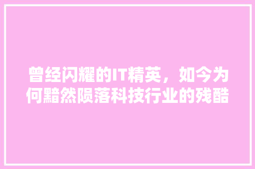 曾经闪耀的IT精英，如今为何黯然陨落科技行业的残酷真相！