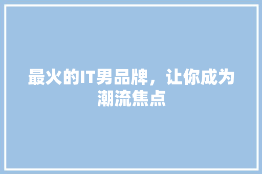 最火的IT男品牌，让你成为潮流焦点 网站建设公司