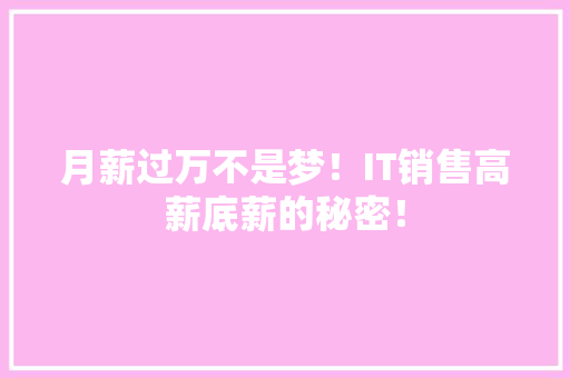 月薪过万不是梦！IT销售高薪底薪的秘密！