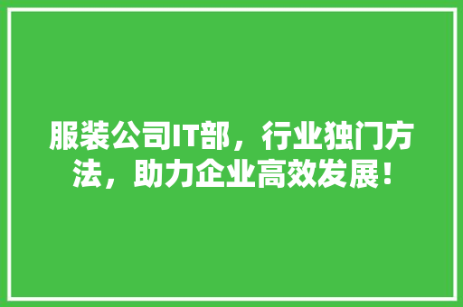 服装公司IT部，行业独门方法，助力企业高效发展！ SEO关键词