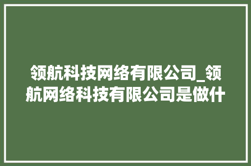 领航科技网络有限公司_领航网络科技有限公司是做什么的。 领航科技网络有限公司_领航网络科技有限公司是做什么的。 网站建设公司
