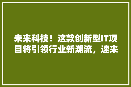 未来科技！这款创新型IT项目将引领行业新潮流，速来围观！