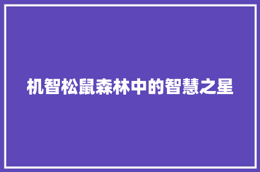 机智松鼠森林中的智慧之星