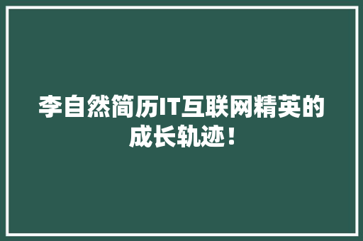 李自然简历IT互联网精英的成长轨迹！
