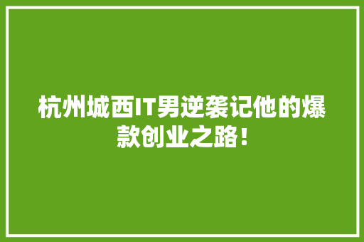 杭州城西IT男逆袭记他的爆款创业之路！
