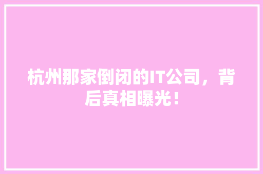 杭州那家倒闭的IT公司，背后真相曝光！