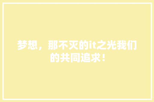 梦想，那不灭的it之光我们的共同追求！ 网站建设公司