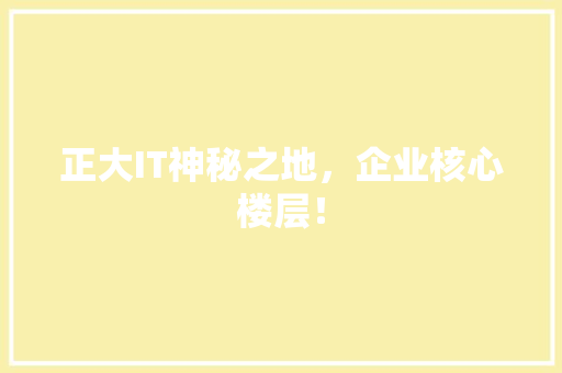 正大IT神秘之地，企业核心楼层！