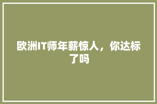 欧洲IT师年薪惊人，你达标了吗