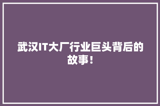 武汉IT大厂行业巨头背后的故事！ SEO关键词