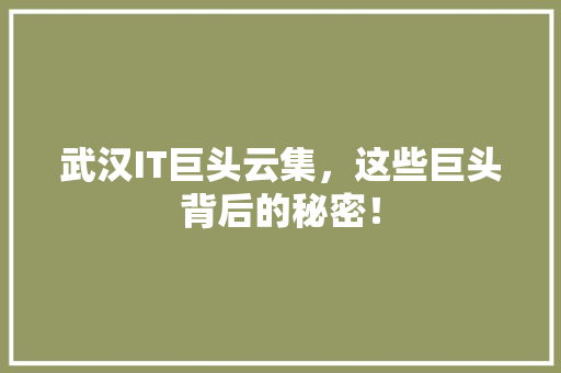 武汉IT巨头云集，这些巨头背后的秘密！ SEO关键词