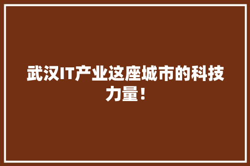 武汉IT产业这座城市的科技力量！