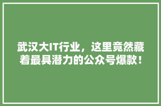 武汉大IT行业，这里竟然藏着最具潜力的公众号爆款！ 搜狗SEO