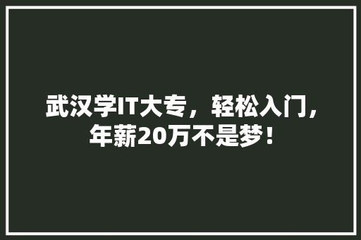 武汉学IT大专，轻松入门，年薪20万不是梦！
