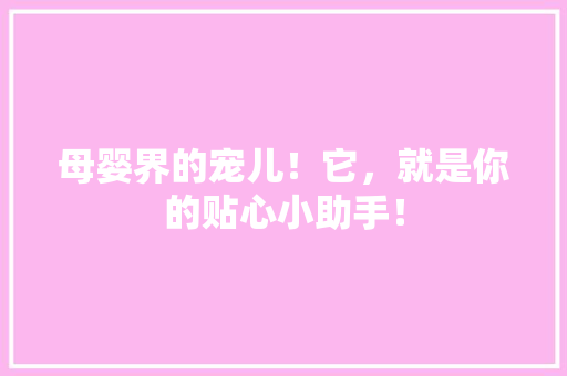 母婴界的宠儿！它，就是你的贴心小助手！