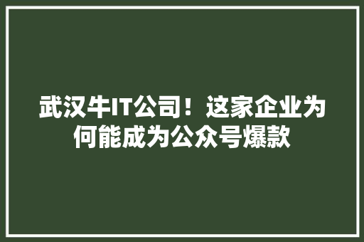 武汉牛IT公司！这家企业为何能成为公众号爆款 SEO关键词